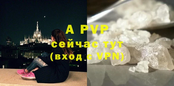 хмурый Карпинск