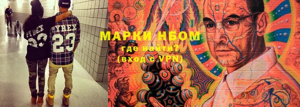 хмурый Карпинск