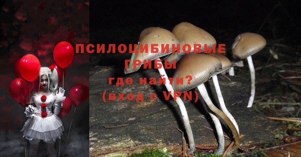 хмурый Карпинск